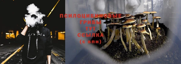 ECSTASY Белоозёрский