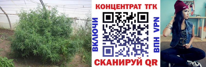 Дистиллят ТГК гашишное масло  Ахтырский 